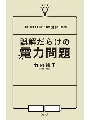 cover image of 誤解だらけの電力問題